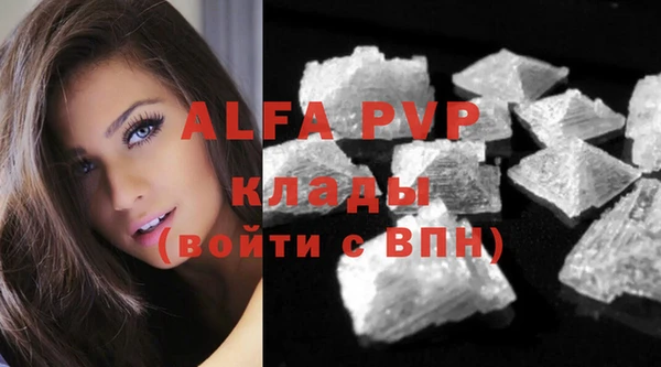 спиды Весьегонск