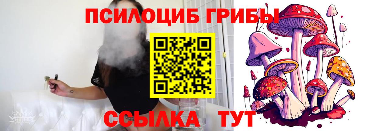 Галлюциногенные грибы GOLDEN TEACHER Шарыпово