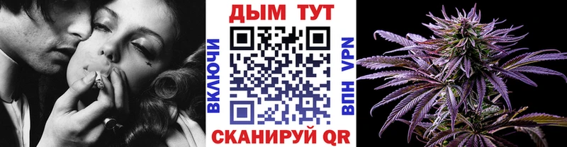 Бошки Шишки Bruce Banner  KRAKEN tor  Шарыпово 
